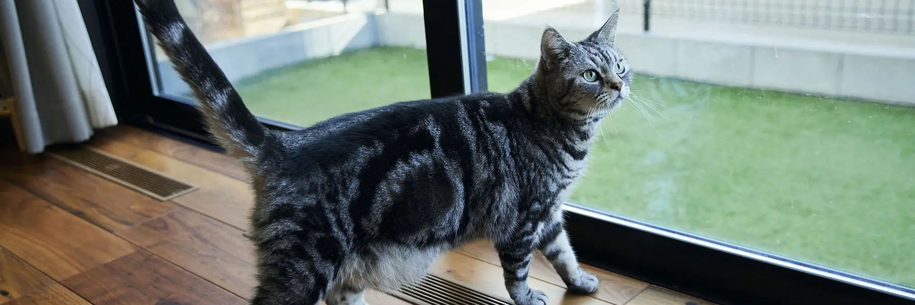 〈インタビュー〉家族も猫もお気に入りの場所で過ごす「暖かい」家
