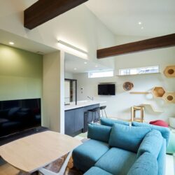 猫のための遊び心ある造作棚が映えるカジュアルリビング